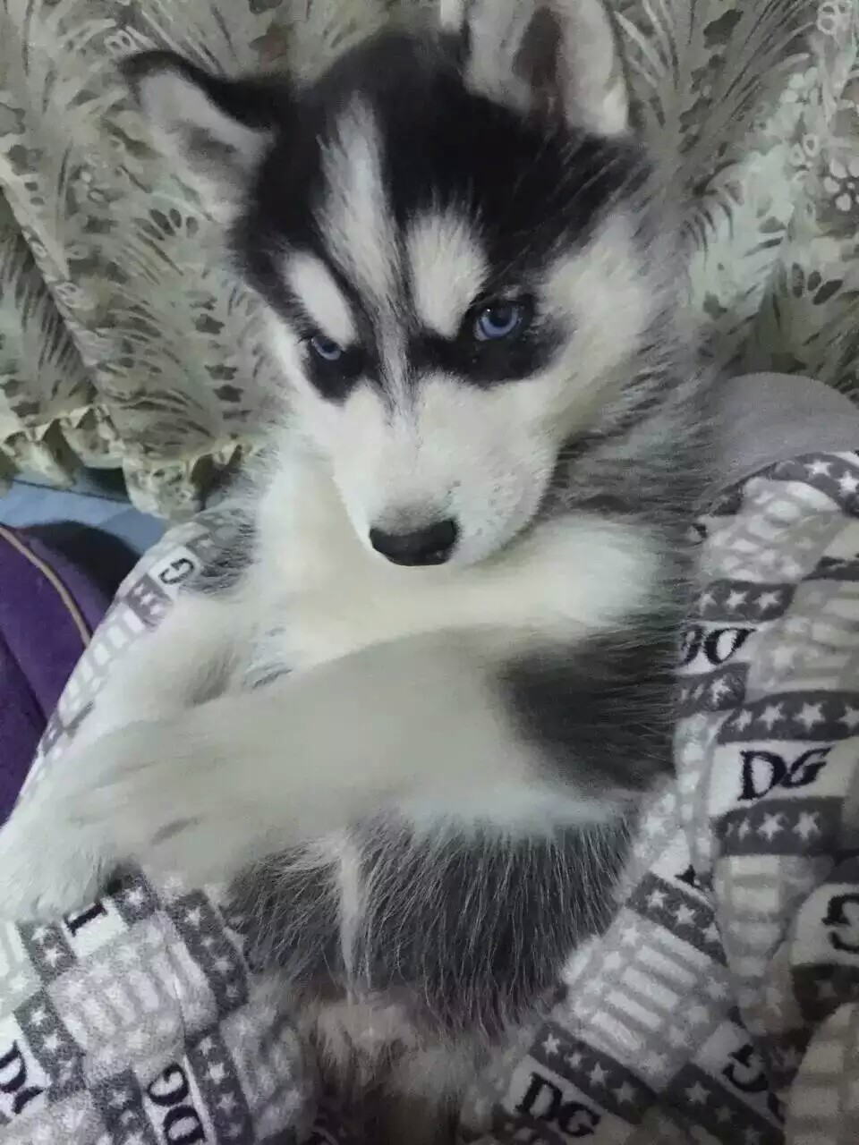 为什么有时候穷山恶水出刁民,有时候贫苦地区