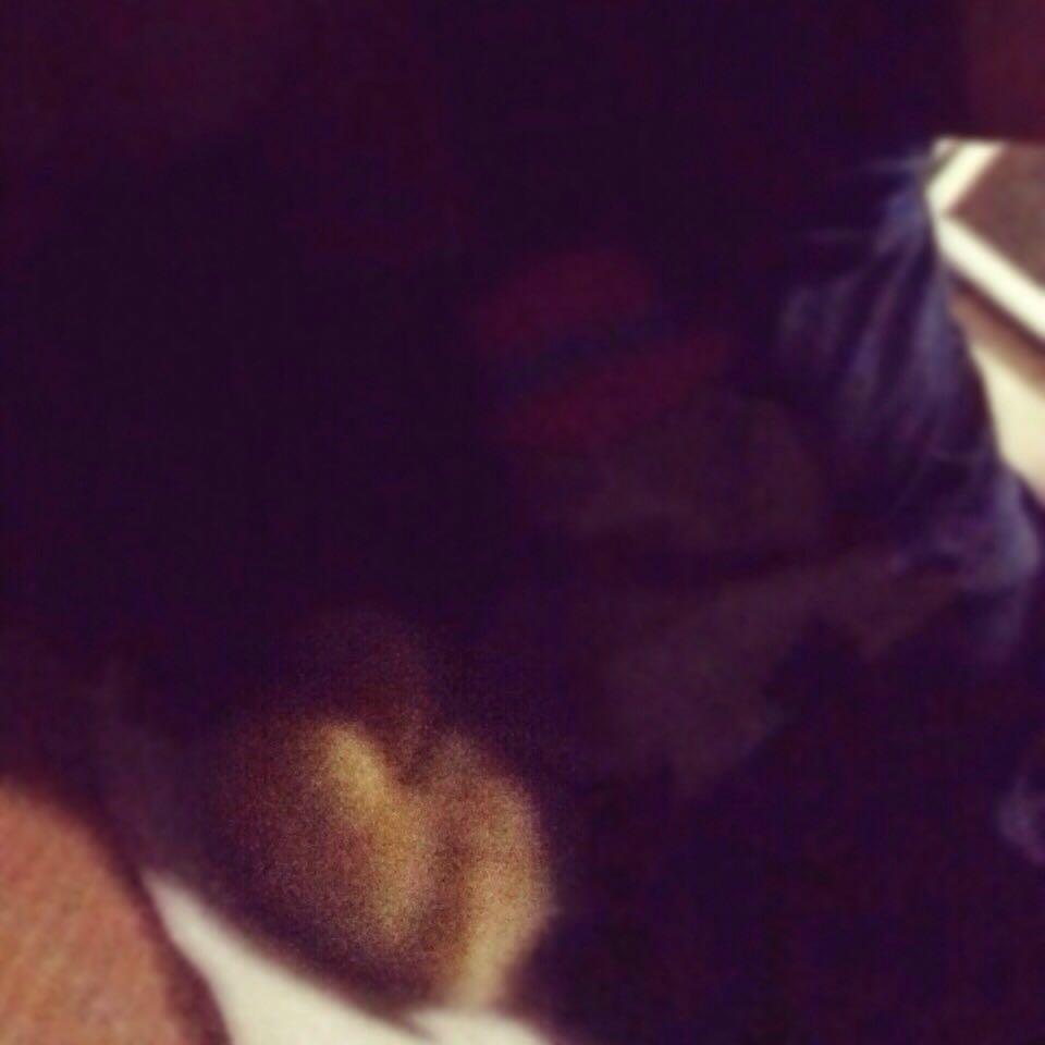 养小鸭子做宠物是什么体验?