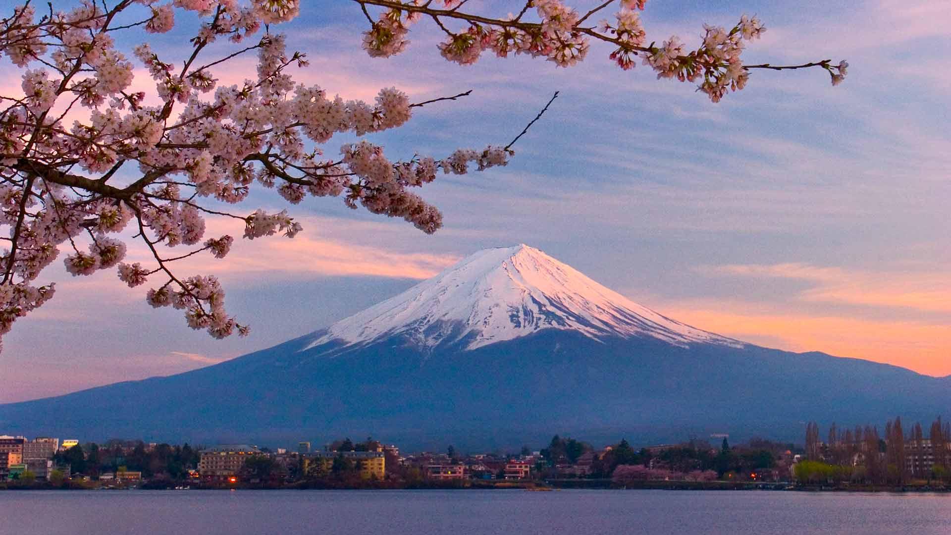 国论 日本章 知乎 国论 日本章 知乎