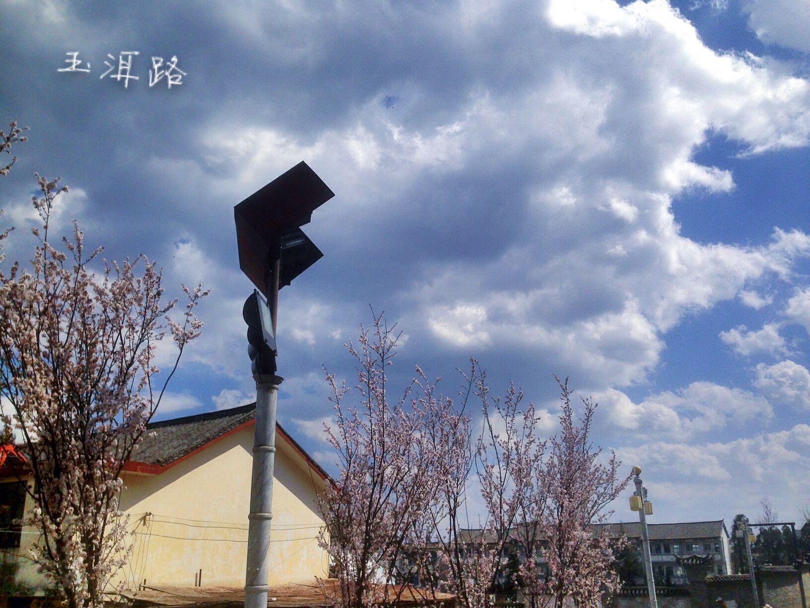 哪些地方适合一个人旅行? - 萝卜的回答 - 知乎