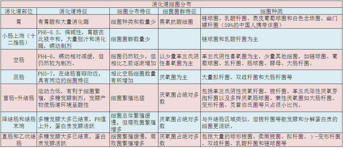 与便秘,臭屁战斗,健身者的膳食纤维攻略——从肠道菌群的分布,作用和