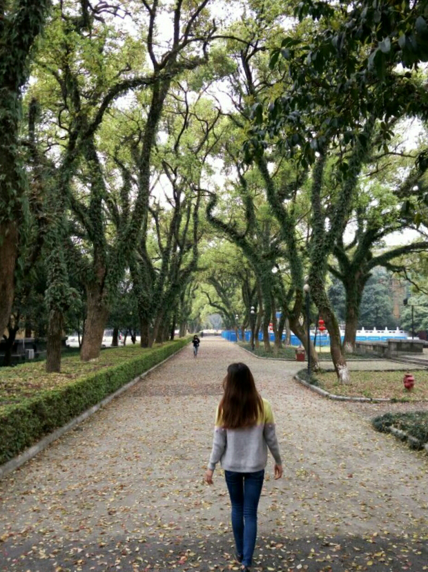 在面积特别小的大学上学是怎样一种体验? - 莫