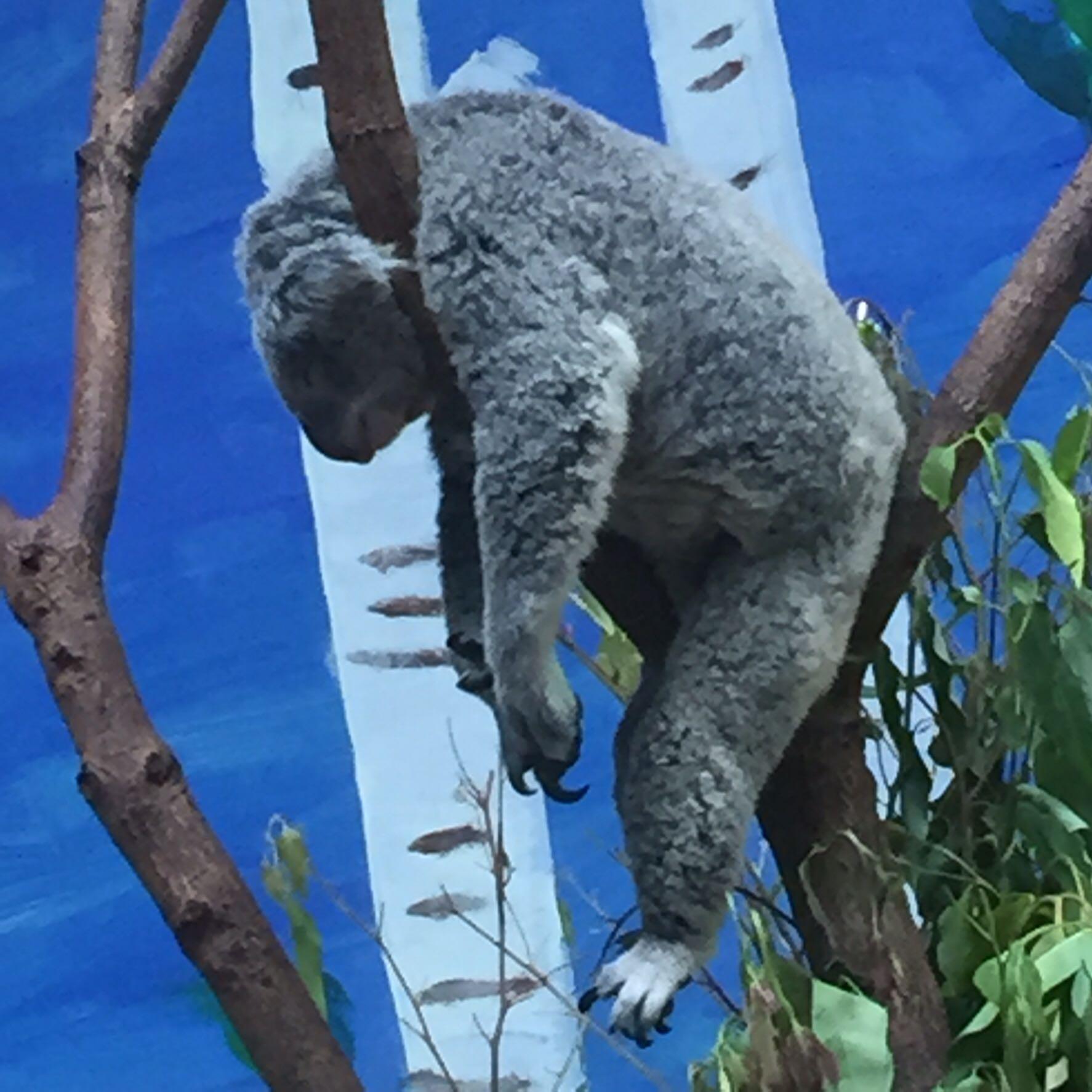 生活不止眼前的苟且 还有__和_ 如何填词? - 路