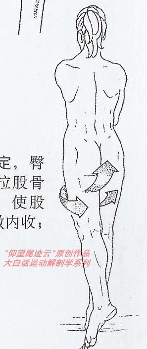 亚博买球网址:臀部能不能练圆那是你没看错了 亚博买球网址:臀部能不能练圆那是你没看错了