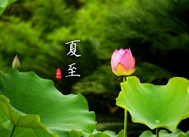 夏至 二十四节气 知乎 夏至 二十四节气 知乎