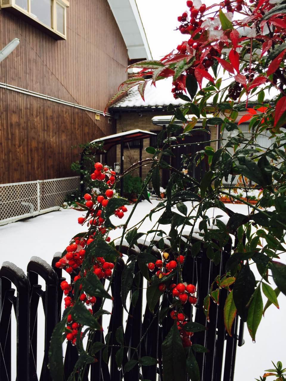 在日本小城市生活是一种怎样的体验? - maruk