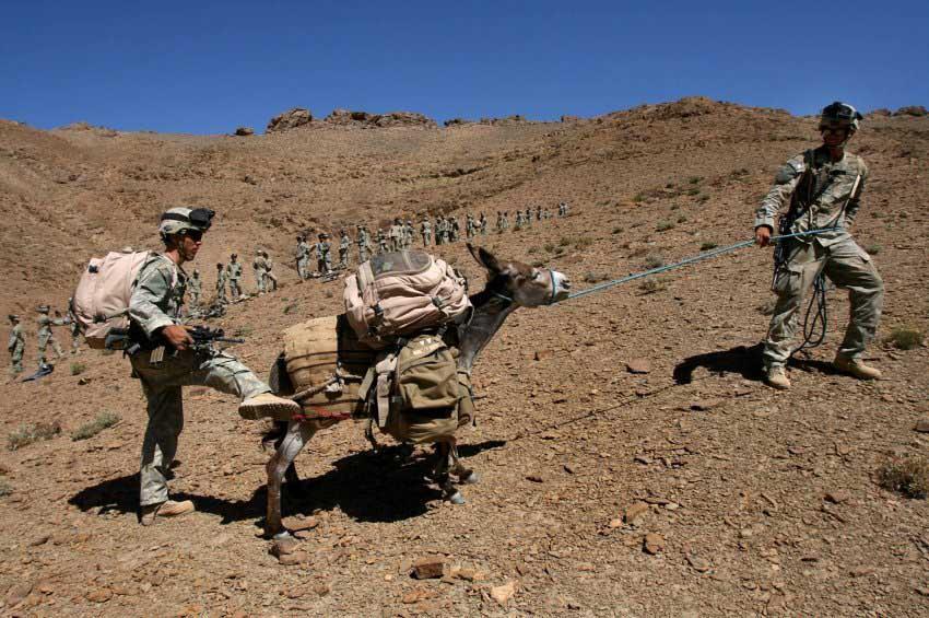 如何评价二战期间德国政府和国民政府的合作?