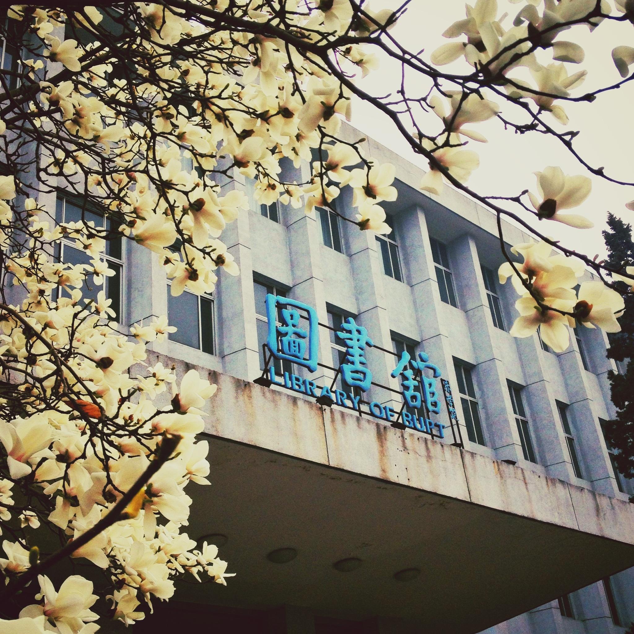 高大上的北邮体育馆.也让对面的北京师范大学宿舍当次背景.