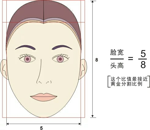 从脸型,气质来分析的话,很多女孩留长发反而没短发好看,什么样的女孩