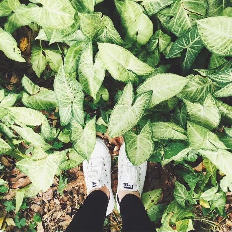 有什么好看的小白鞋,穿起来很舒服很适合走路