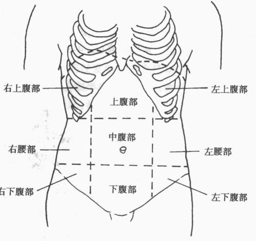 孕妇阑尾炎的位置图片图片