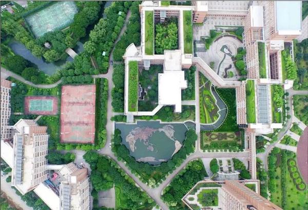 在温岭中学上学是一种什么样的体验?