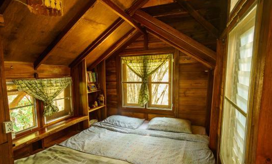 第一次出国游先去哪个国家比较好?英语交流有