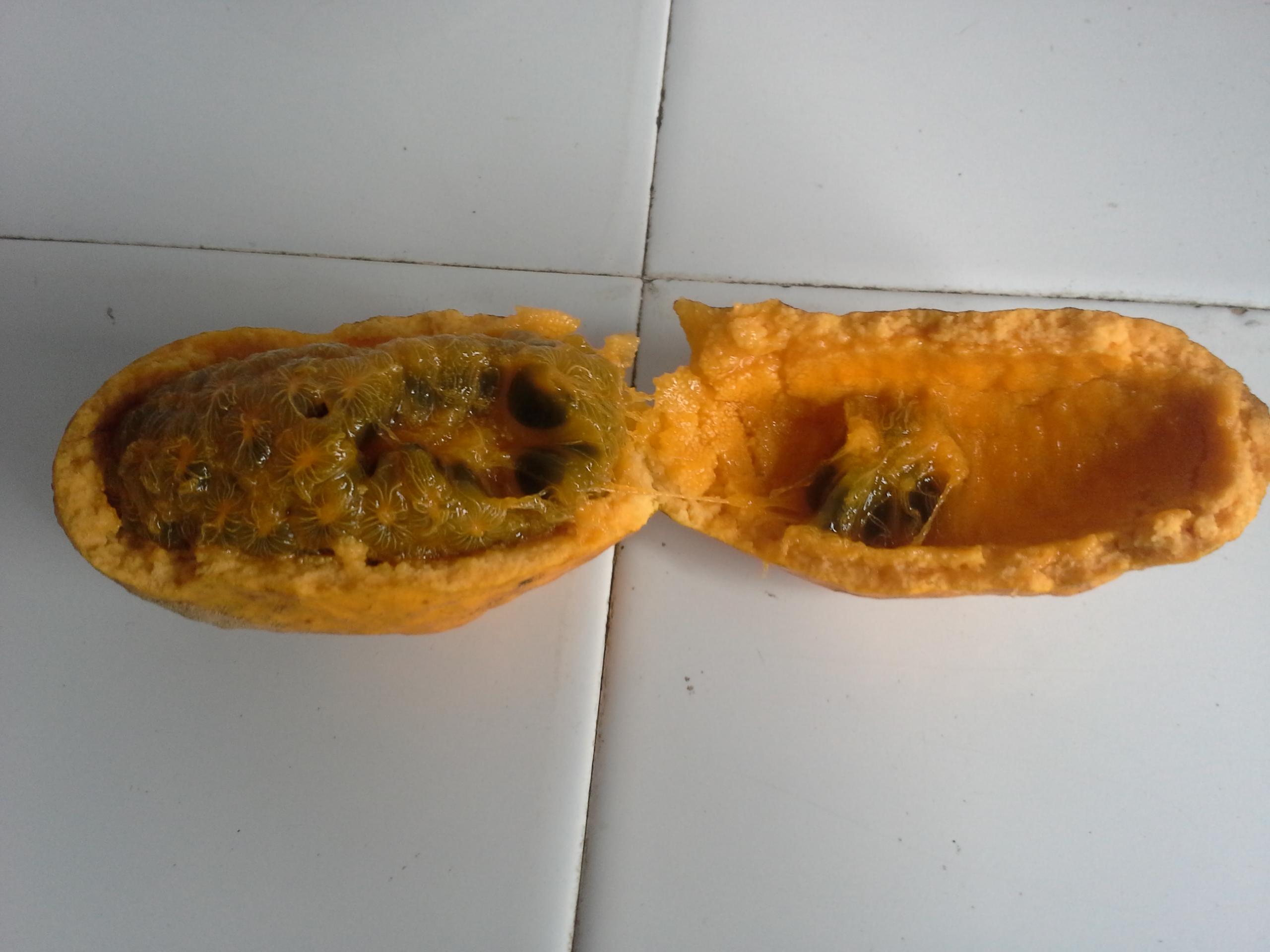 一种黄色的水果,不认识,外面看着像芒果 里面全