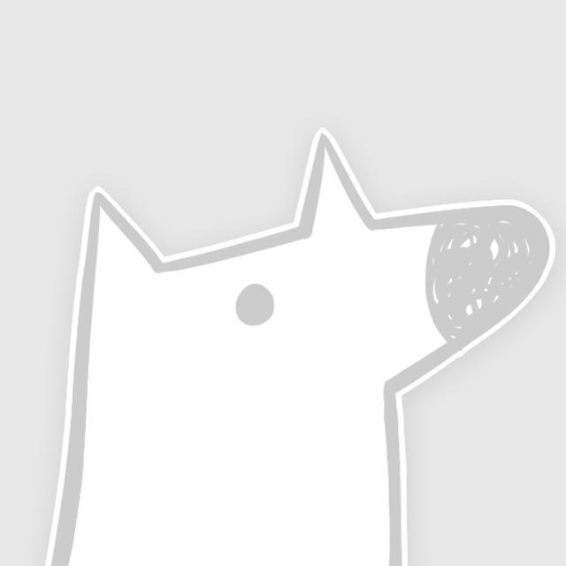 leo同学