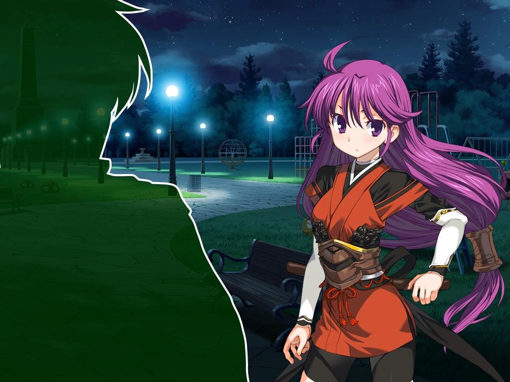 如何评价日本alicesoft的兰斯系列