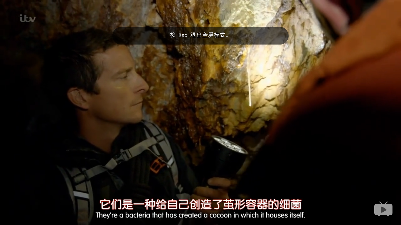 生命除了以碳基存在?可能以硅基存在吗?生命