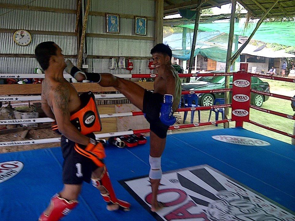 泰拳正蹬:播求无懈可击的技术