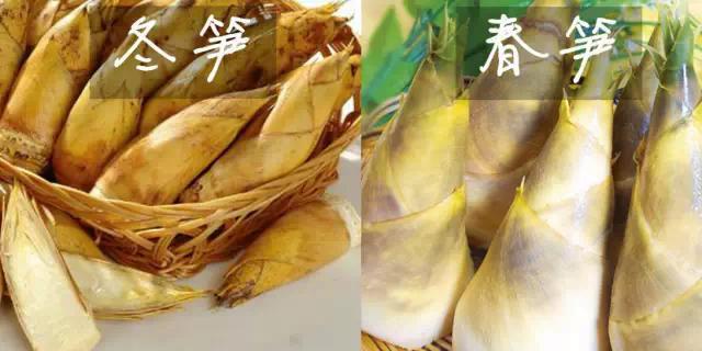 笋是什么类 e015a82a53a69ea8abc8bbde1a12984d_r.jpg