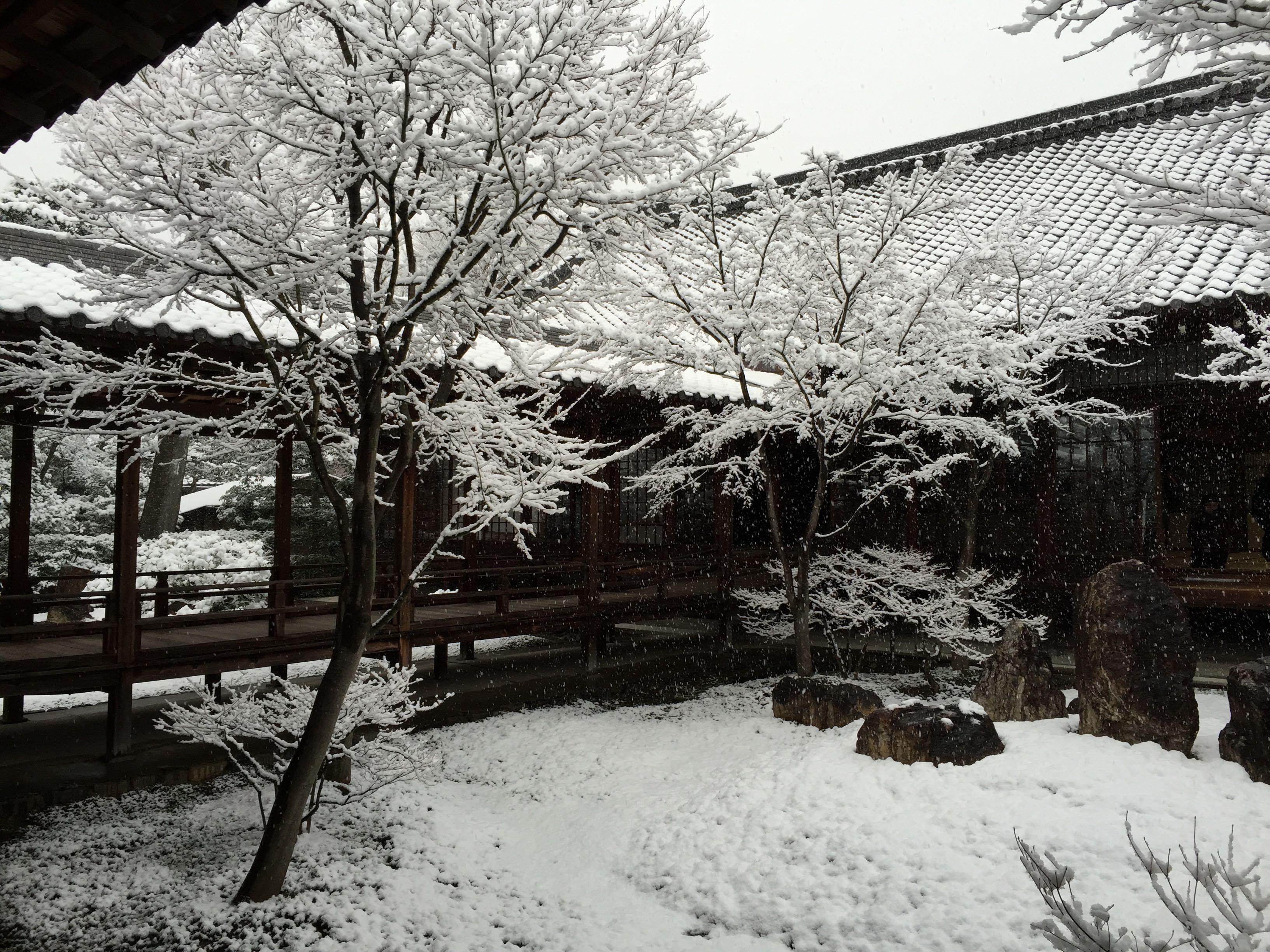 那天去正好是2015年1月1日,上午大太陽,下午就鵝毛大雪,瞬間給城市上