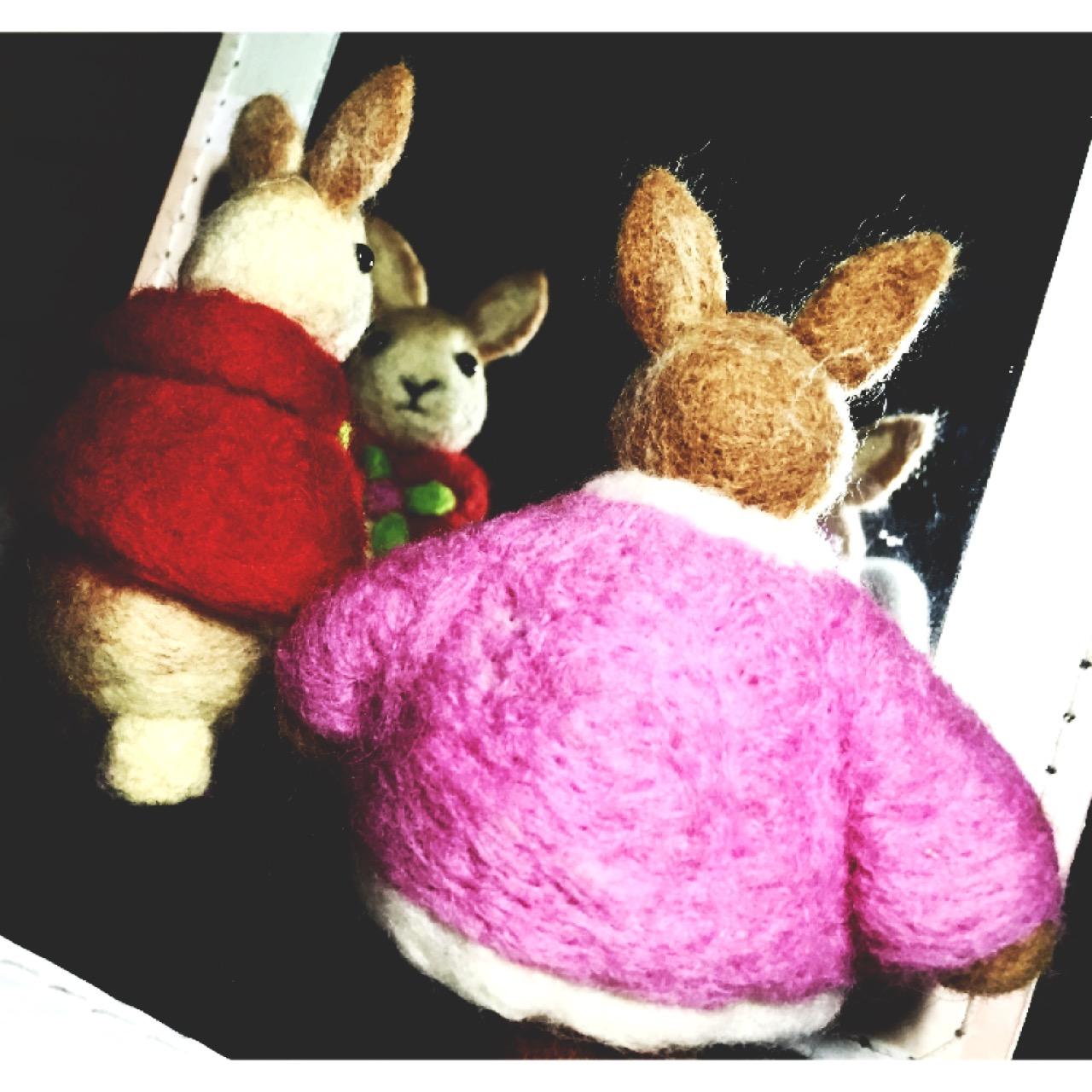 看淘宝买家秀,大多把小动物们做得刻板的感觉.