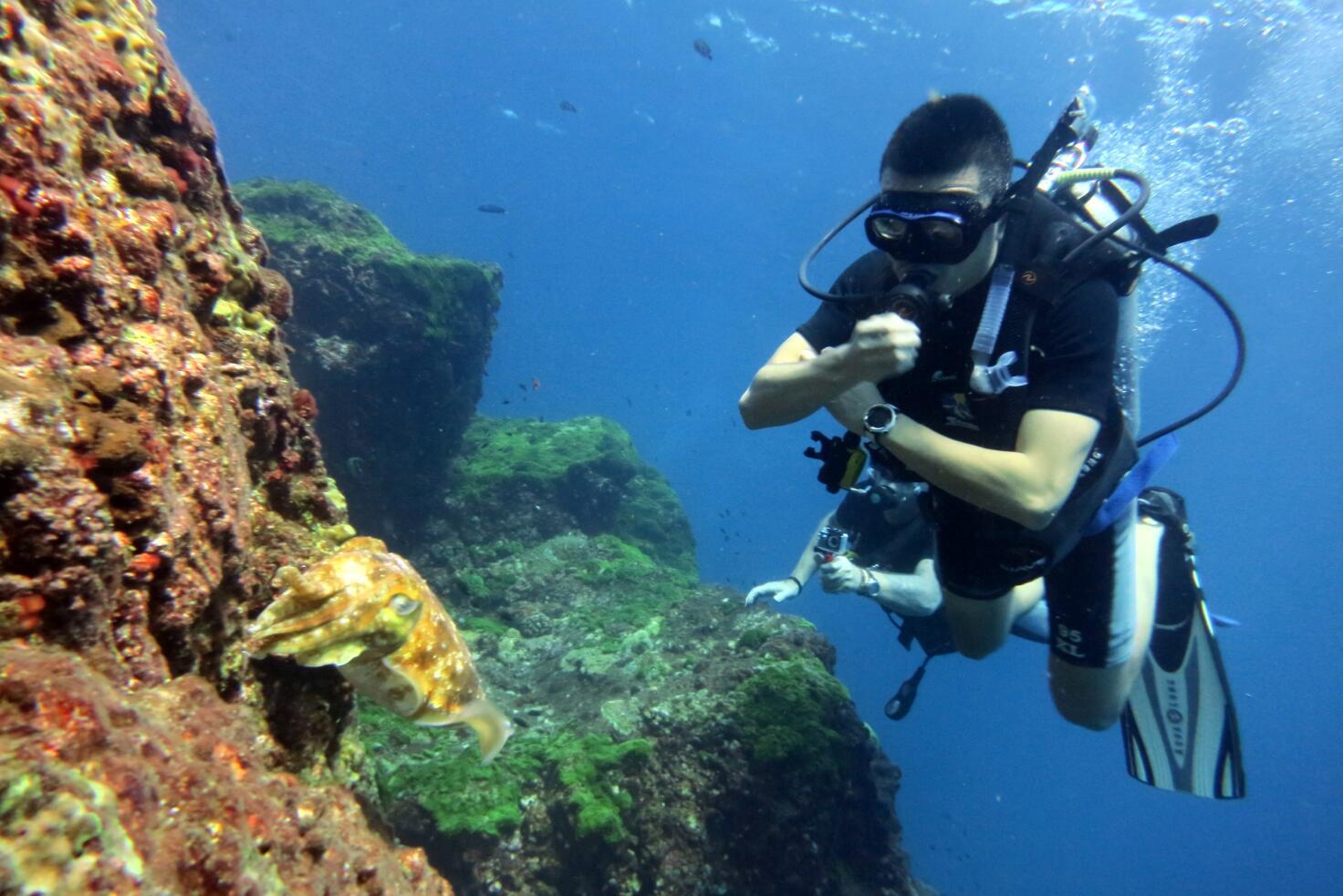 长滩岛和斯米兰群岛、达差岛(普吉岛的离岛)比