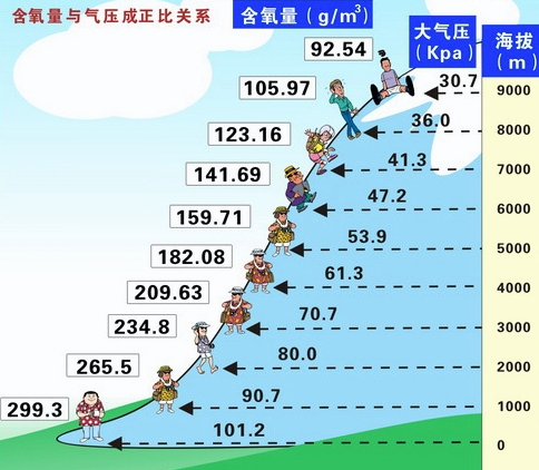 健康关注:betway体育投注|下载首页 飞机上的耳伤究竟是如何造成的?