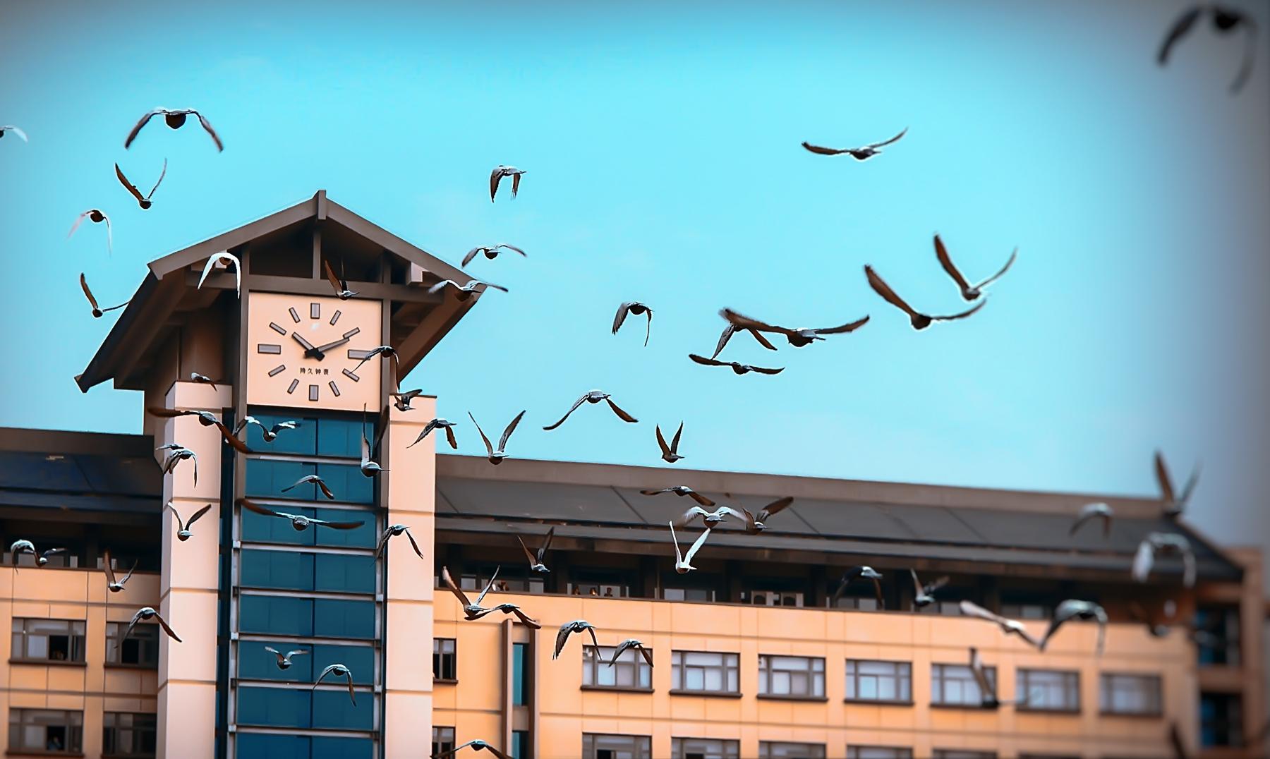 在一所风景特别美的学校读书是一种什么体验