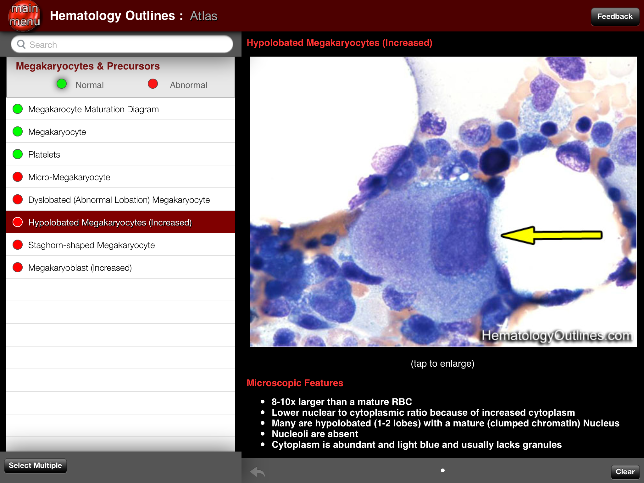 有哪些适合医学生的学习资源?