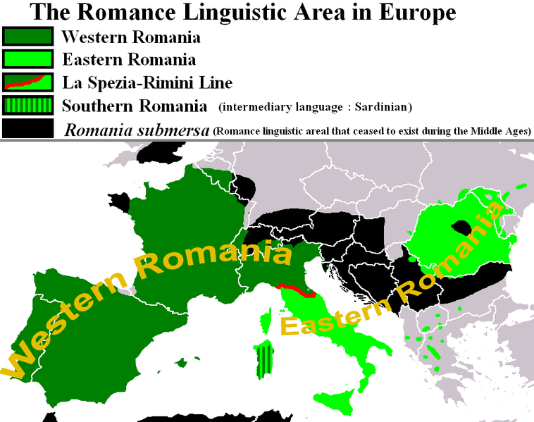 意大利语属于罗曼语族中的西支(法语西班牙语