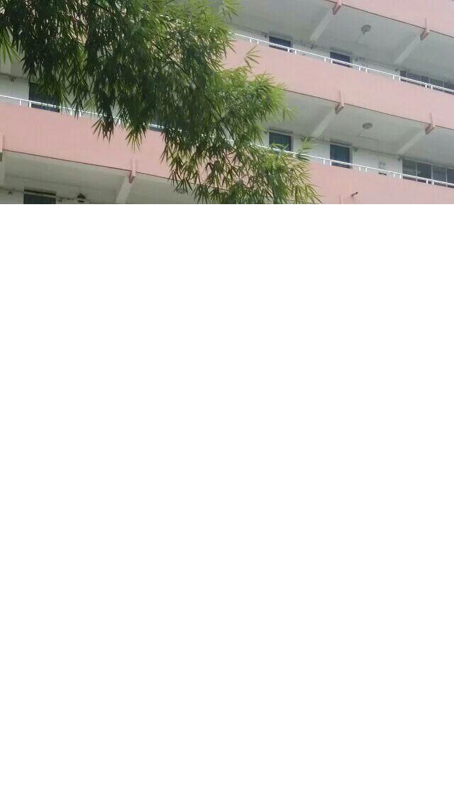 在云南师大实验中学在读是什么样子的体验? -