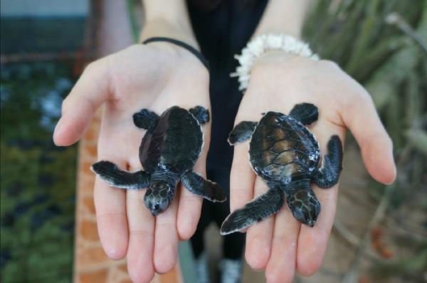 暑假想出国做义工,有没有比较规范的国际义工