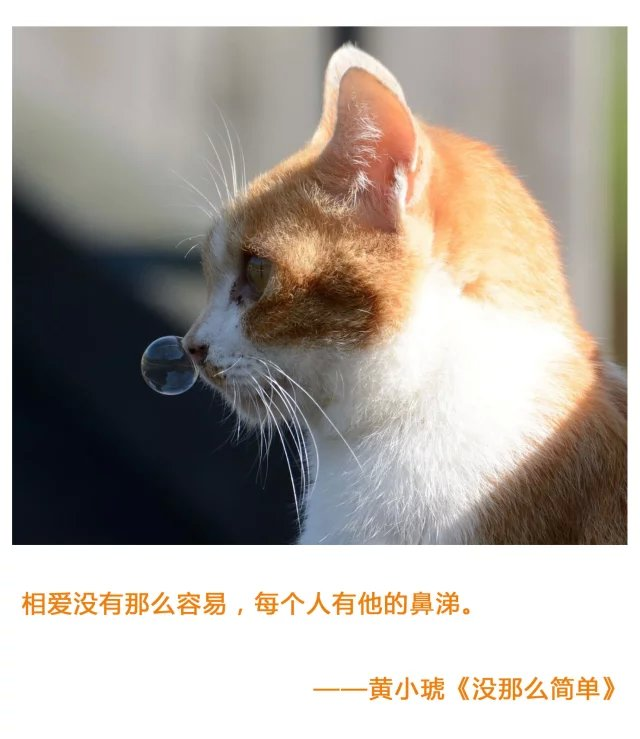 你听过的歌最虐心的歌词是什么?