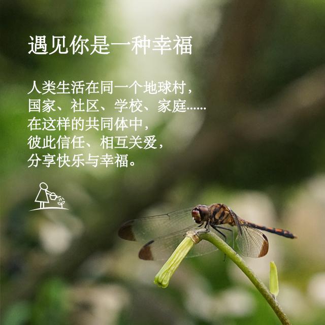 f197f7be1bafa572f684ebb9eda44247_1440w.jpg?source=172ae18b