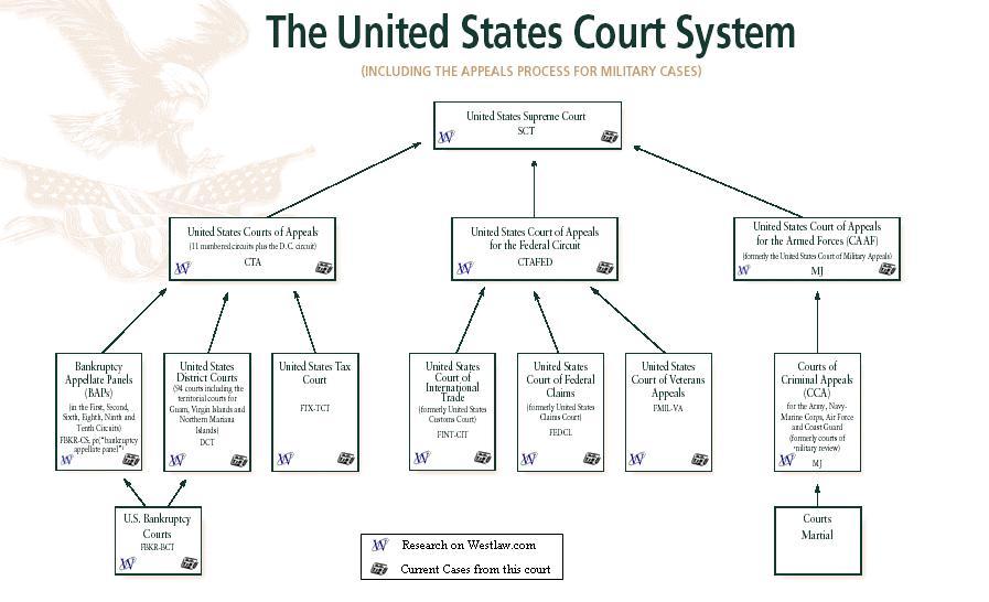 Us diagram. Судебная система США схема на английском. Court System USA схема. Судебная система США таблица. Суды США схема.