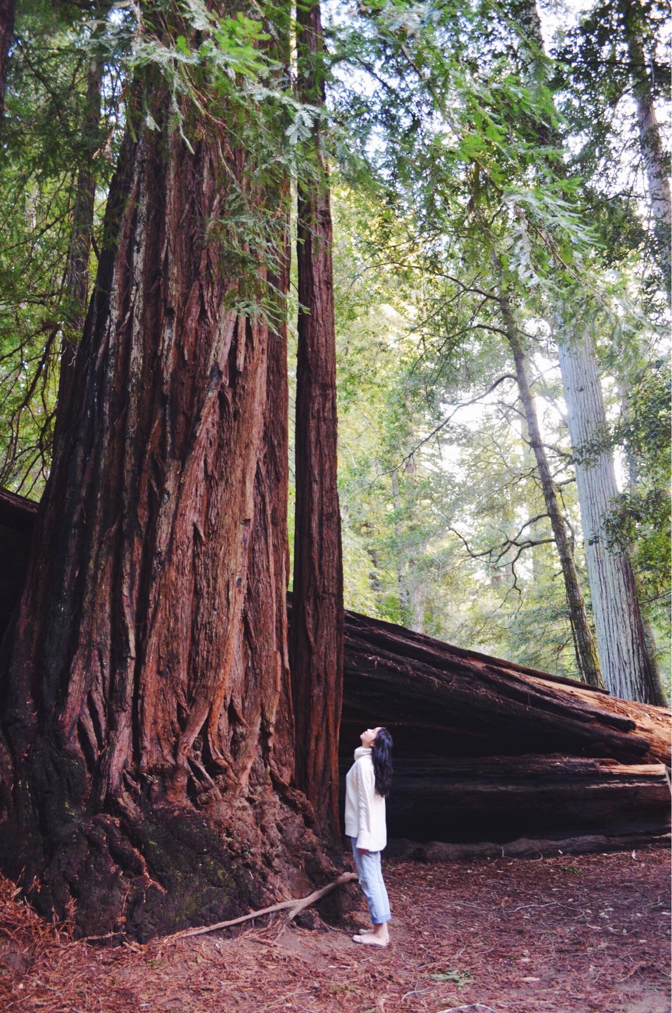 怎样搭配才能显得腿长?