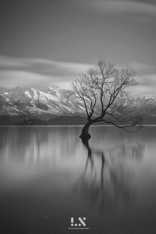 遥远的相似性 - 一片一故事 - 知乎专栏