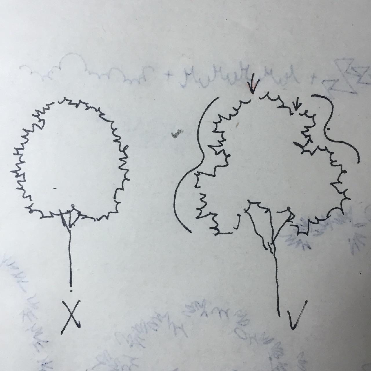 景观手绘中树怎么画比较好看? - 知乎