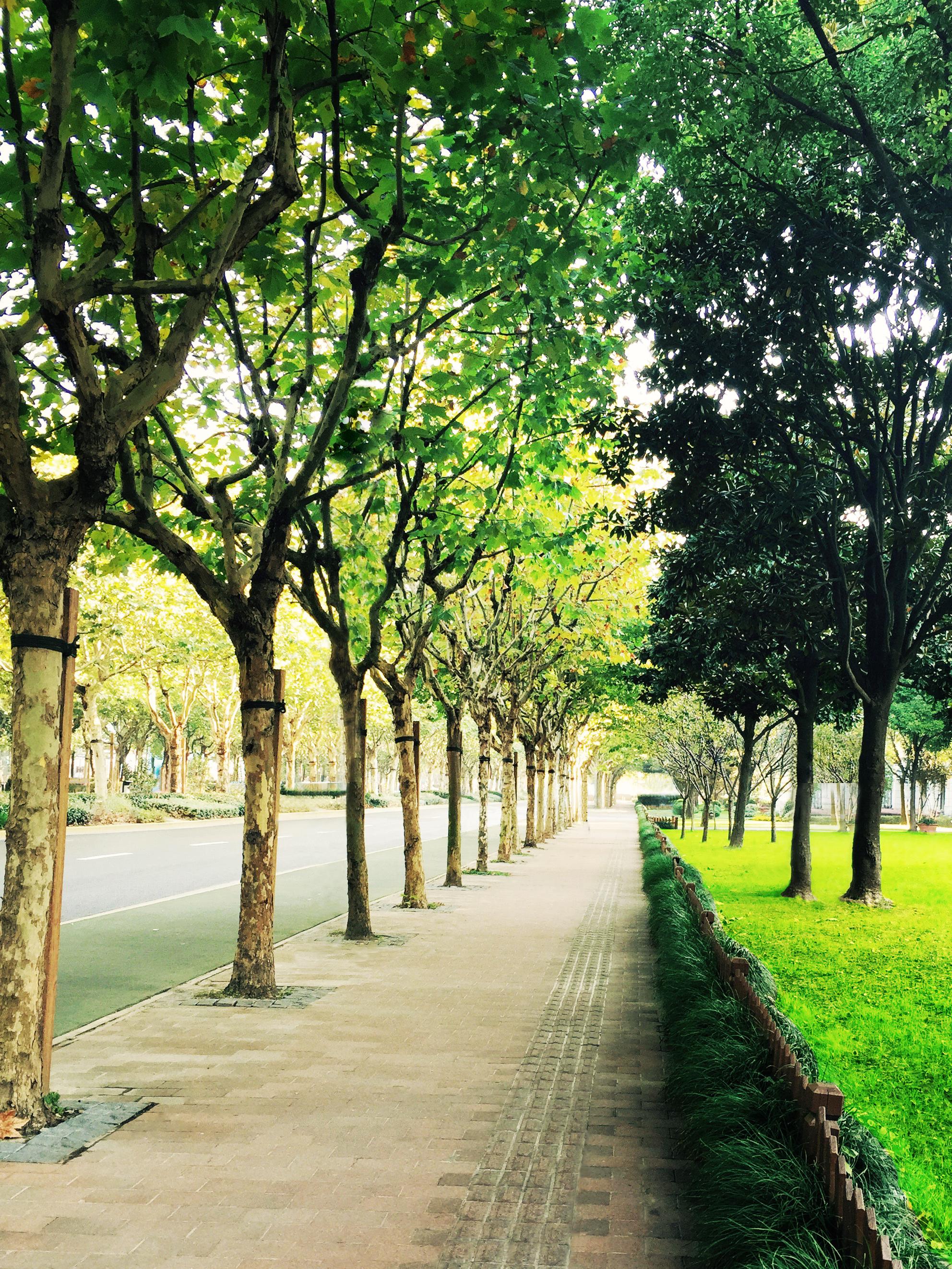 如何把这张图片变的更好看