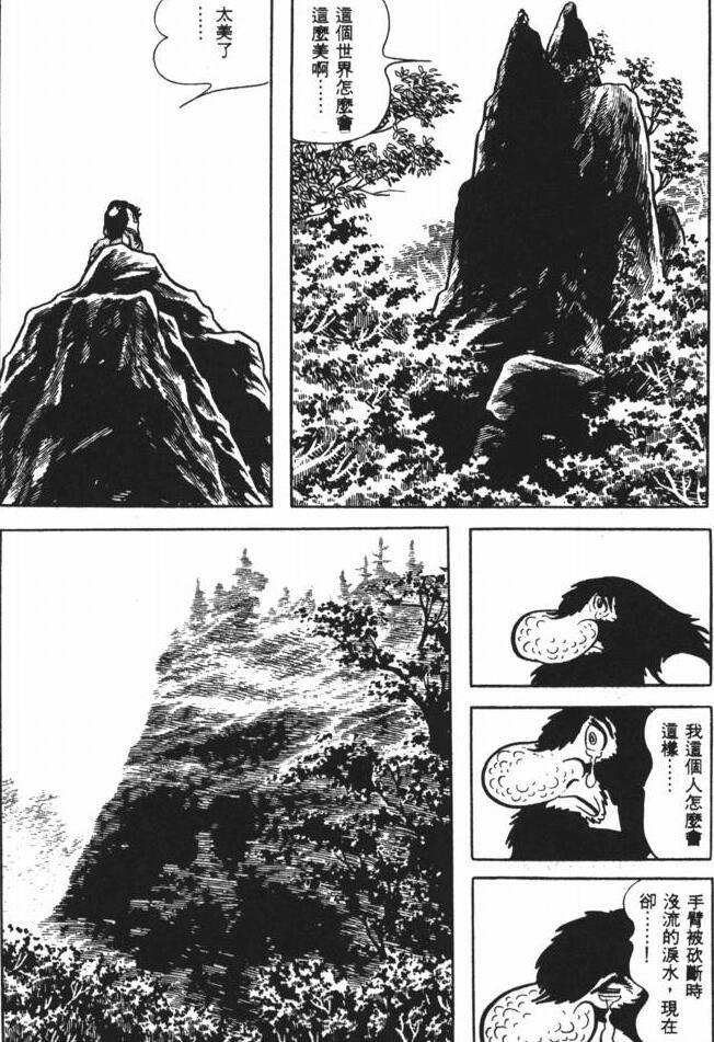 东方史诗 漫画神手冢治虫巅峰作《火の鸟》 - 知乎