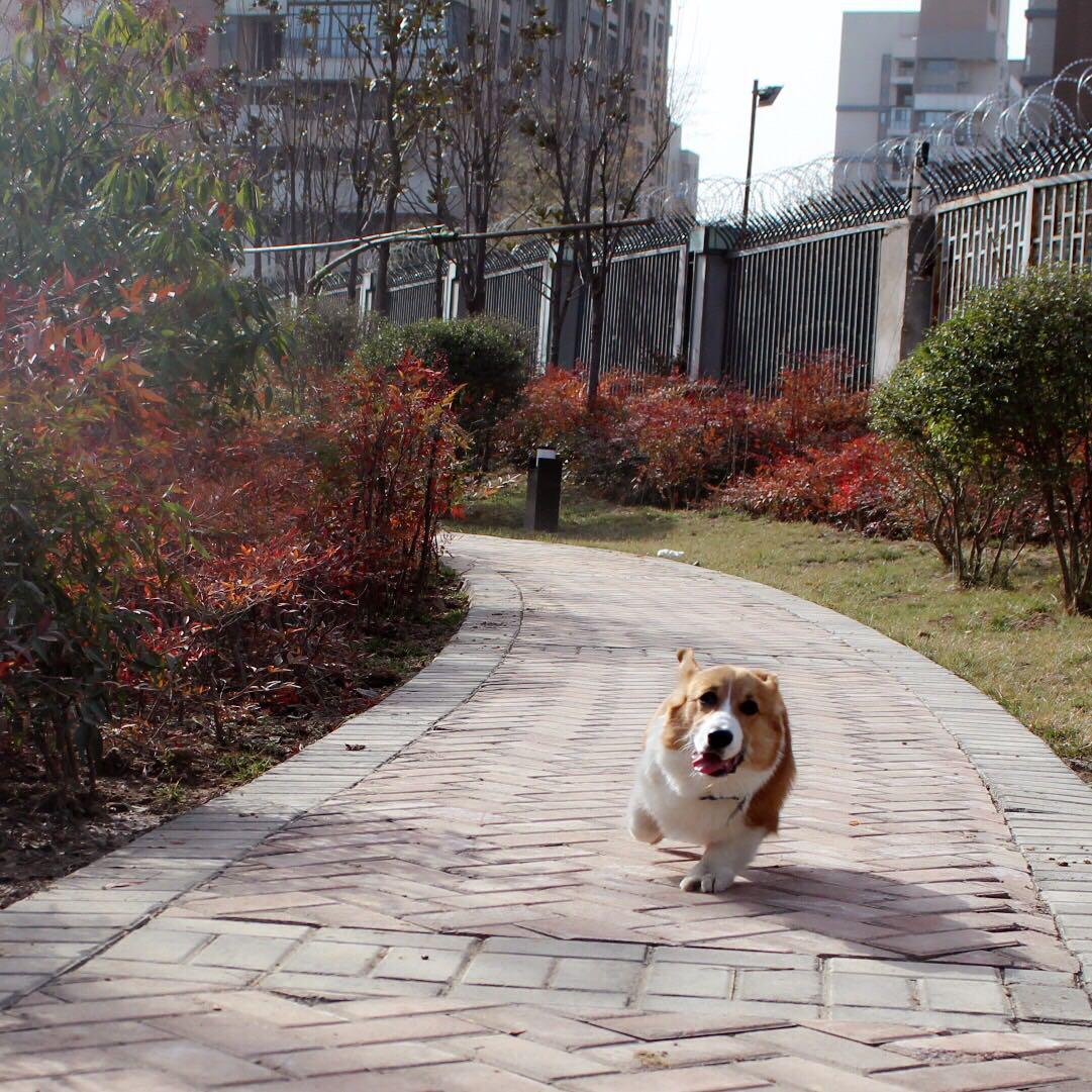 http://www.wazsjg.com/image-pic/bd4265779.jpg.jpg_