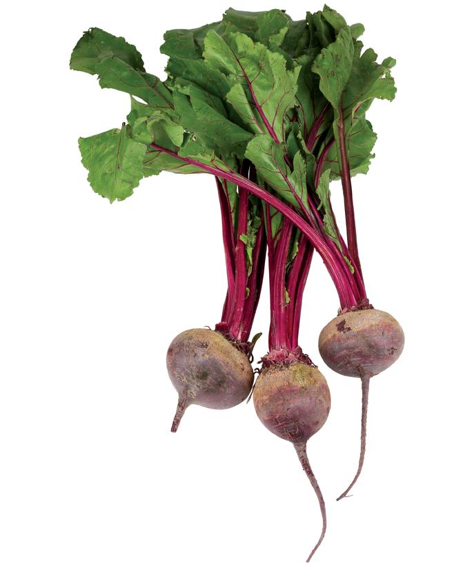 1,beetroot(甜菜)