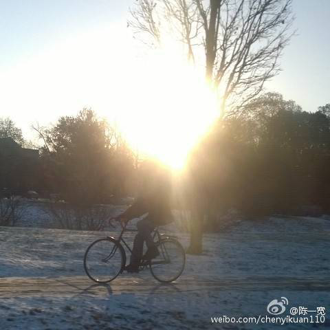 为什么那条<em>裙子</em>有人看到是<em>白金</em>,有人看到的是