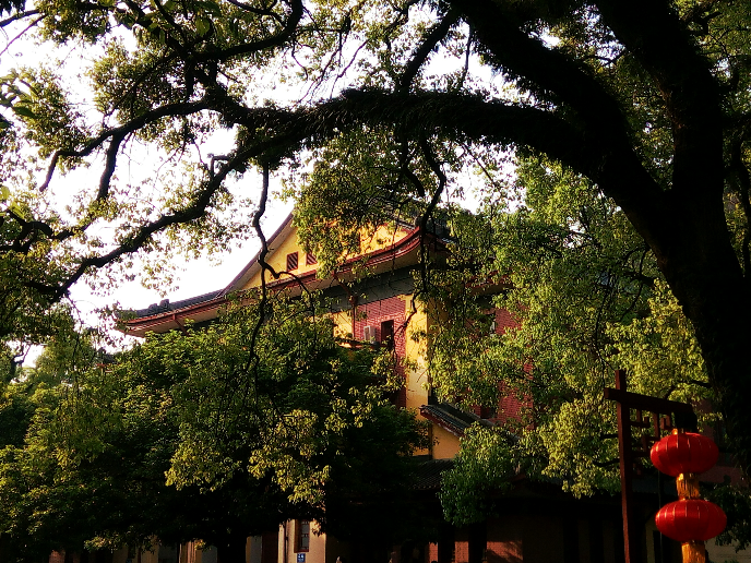 在面积特别小的大学上学是怎样一种体验? - 莫