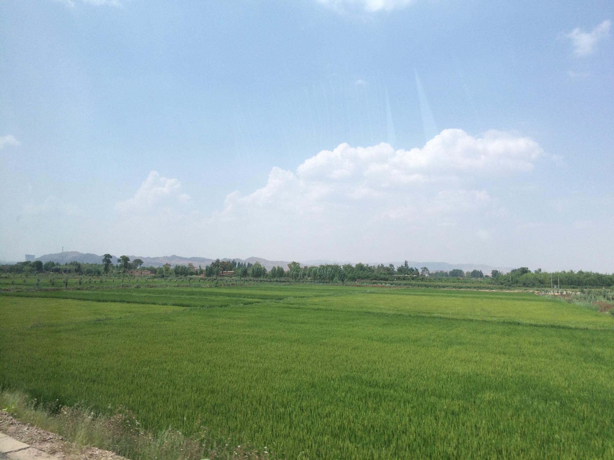 宁夏银川有什么好玩的地方? - 阿楼的回答 - 知