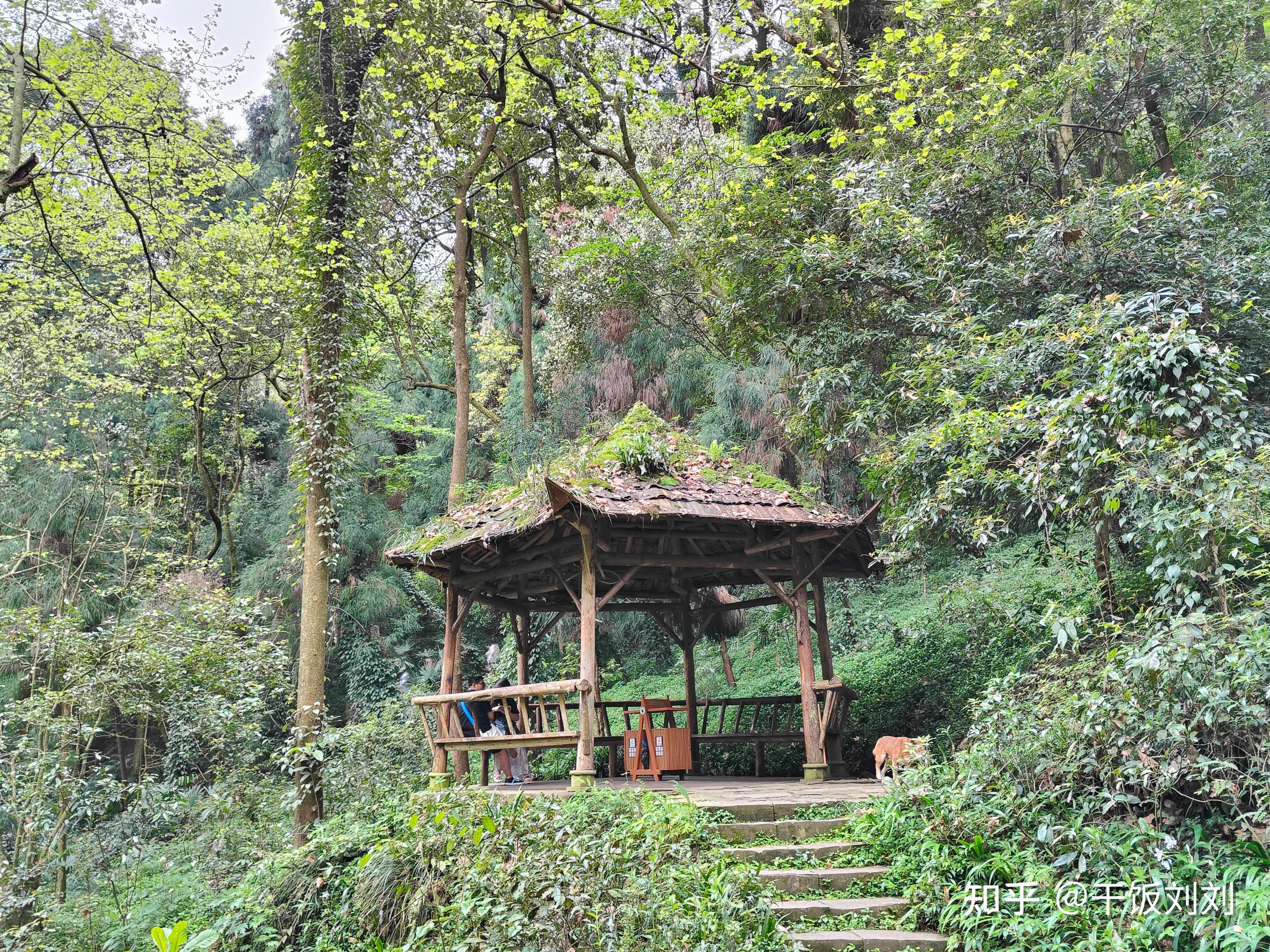 青城山前山一日游攻略