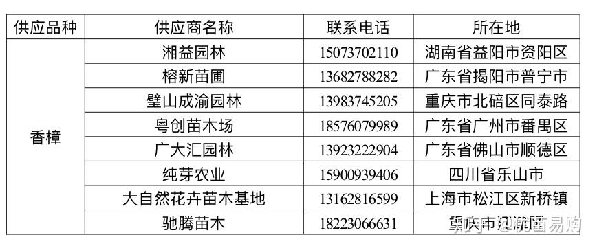 香樟价格多少优苗易购2020上半年香樟最新市场参考价格