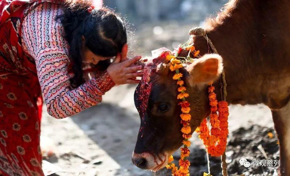 如何看待印巴近日的军事冲突?