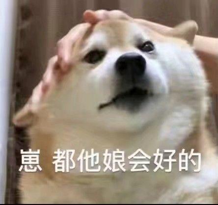 奔波的沙雕文案,奔波的沙雕文案短句