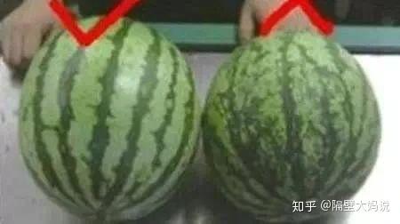 v2-001bb850f3765b8427f259fb800c3559_r.jpg